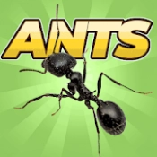 Pocket Ants: Colony Simulator‏ APK